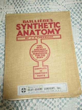 Vtg Anatomy Workbook: Bailliere 