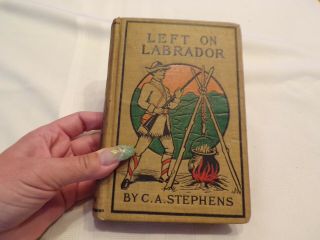 Vtg 1873 Left On Labrador By C.  A.  Stephens