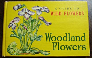 A Guide To Wild Flowers Woodland Flowers T.  H.  Everett Hc 1945 Whitman Publishing