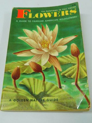 1950 Flowers A Golden Nature Guide Familiar American Wildflowers 134 Paintings