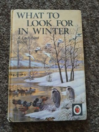 Vintage Ladybird What To Look For In Winter Nature Book Series 536 18p Net