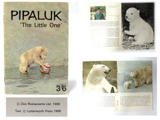 Vintage 1968 Pipaluk The Little One Polar Bear Cub London Zoo Booklet