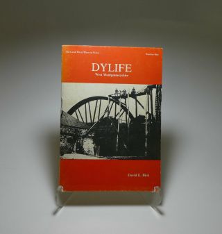 Dylife: Great Metal Mines Of Wales - David E.  Bick