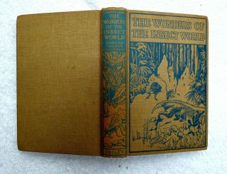 Natural History - Wonders Of The Insect World 1921 First Edition Illustrated