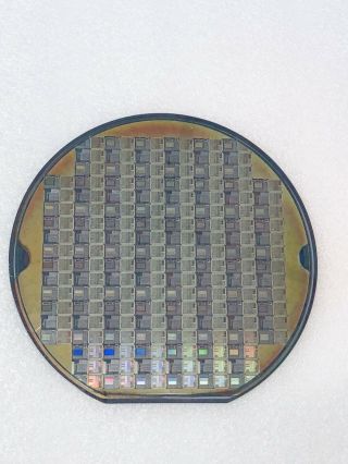 Vintage Silicon Wafer 6”/150mm AMD Am486 DX4 - 100 CPU,  Fully Populated 2